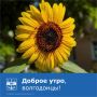 С добрым утром, волгодонцы!
