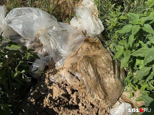 В Таганроге в акватории порта выставили боновые заграждения от нефтепродуктов В Таганроге в акватории порта выставили боновые заграждения от нефтепродуктов