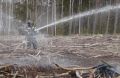 Слюсарь призвал граждан соблюдать меры пожарной безопасности