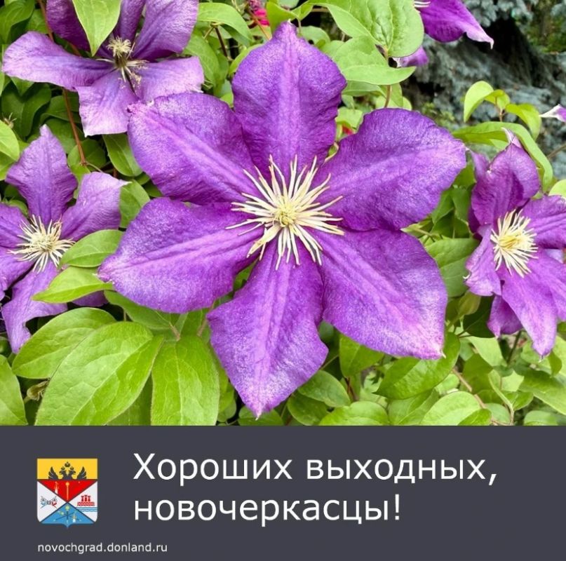 Суббота, 18 июля ожидается относительно тёплая погода с переменной облачностью