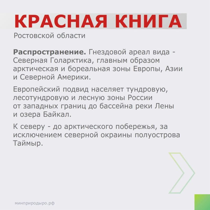 Рубрика «Красная книга Ростовской области»! Рубрика «Красная книга Ростовской области»!
