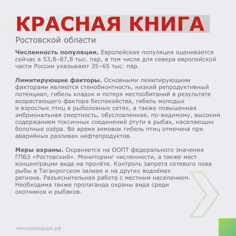 Рубрика «Красная книга Ростовской области»! Рубрика «Красная книга Ростовской области»!