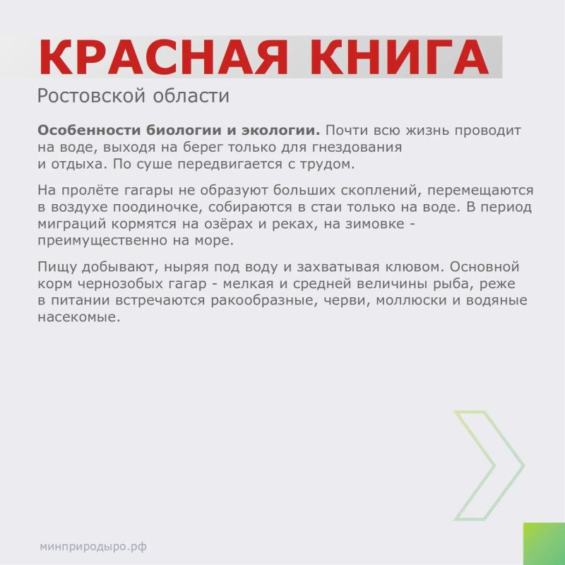 Рубрика «Красная книга Ростовской области»! Рубрика «Красная книга Ростовской области»!