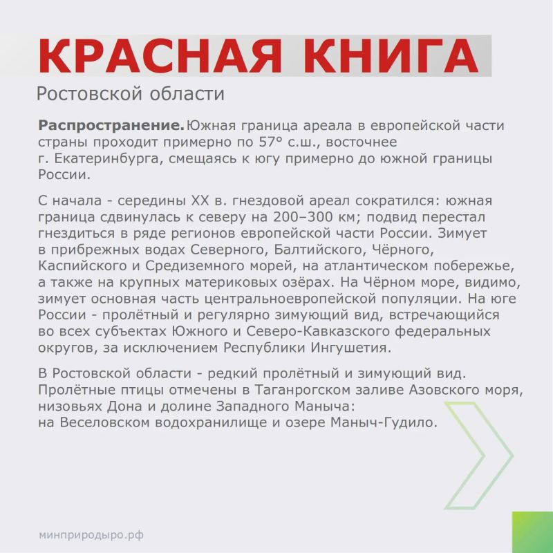 Рубрика «Красная книга Ростовской области»! Рубрика «Красная книга Ростовской области»!