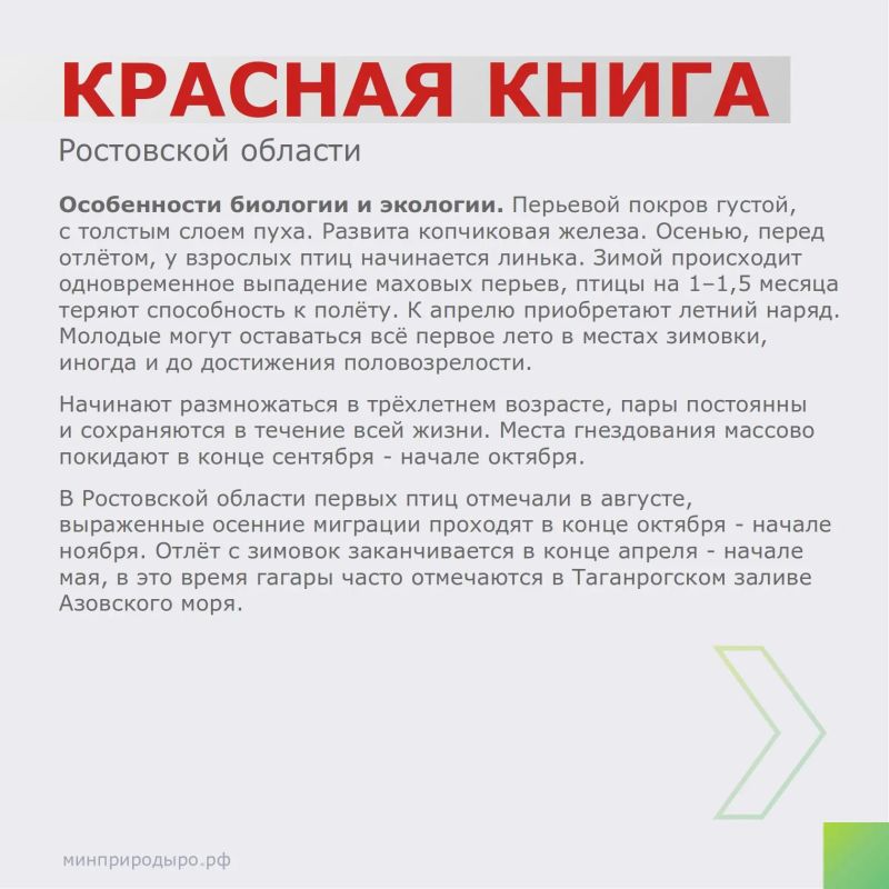 Рубрика «Красная книга Ростовской области»! Рубрика «Красная книга Ростовской области»!