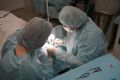 14-летняя школьница вывихнула обе челюсти и три недели не общалась к врачу