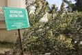 Загадочная коллеция несчастная: раскрываем её тайны