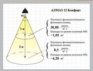 Фитолампы: как они помогают вашим растениям расти и развиваться