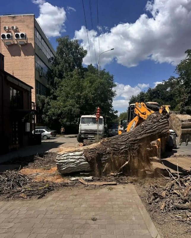Продолжаются работы по опиловке и удалению сухостойных деревьев - это важно для безопасности горожан и сохранности имущества Продолжаются работы по опиловке и удалению сухостойных деревьев - это важно для безопасности горожан и сохранности имущества