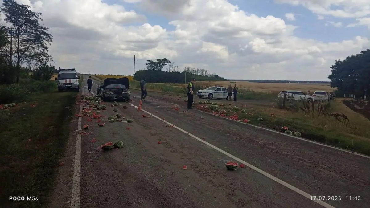 В Егорлыкском районе ВАЗ-2110 влетел в прицеп с арбузами: трасса усыпана плодами В Егорлыкском районе ВАЗ-2110 влетел в прицеп с арбузами: трасса усыпана плодами