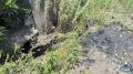 � ���������� ������� �������� ��������� ���������������� ���������������� ��� ������������ ��������������