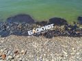 Власти проверили воду в Таганрогском заливе после атак на танкеры