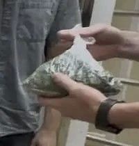 Полицейские городского Управления задержали местного жителя, подозреваемого в хранении марихуаны Полицейские городского Управления задержали местного жителя, подозреваемого в хранении марихуаны