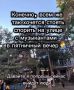 Будни музыкантов на Пушкинской не так просты, как кажется на первый взгляд