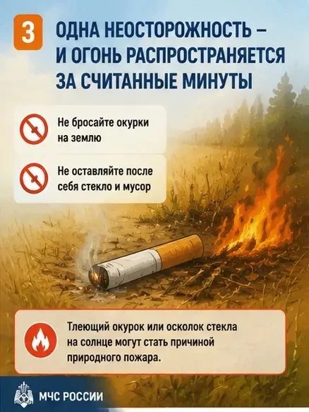 Огонь не прощает беспечности Огонь не прощает беспечности