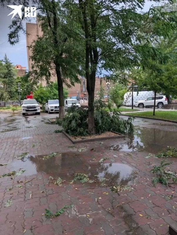 А такая обстановка сейчас в центре: разбросаны ветки, поваленные шквалистым ветром и обильными осадками А такая обстановка сейчас в центре: разбросаны ветки, поваленные шквалистым ветром и обильными осадками