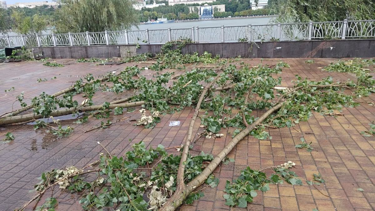 Гроза прошлась по парку на левом берегу нешуточно Гроза прошлась по парку на левом берегу нешуточно