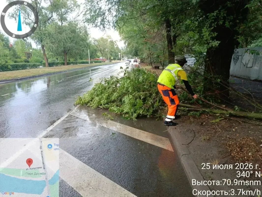 Из-за сильного ветра в Ростове упали более 40 деревьев и крупных веток