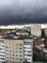 40 деревьев и крупных веток упало в Ростове из-за сильного ветра и дождя