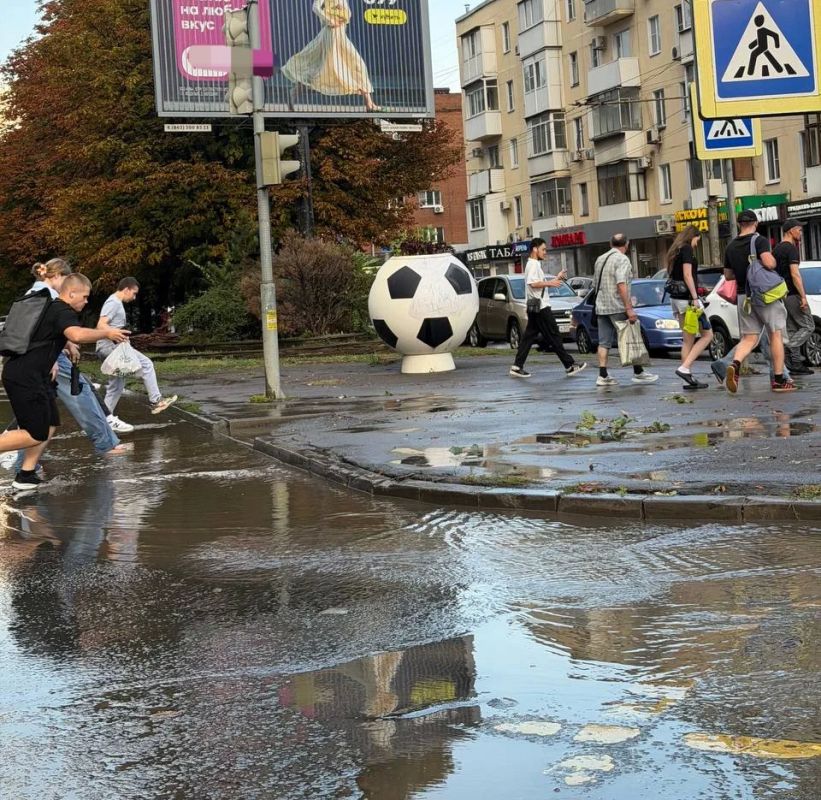 40 деревьев и крупных веток упало в Ростове из-за сильного ветра и дождя 40 деревьев и крупных веток упало в Ростове из-за сильного ветра и дождя