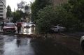 На Дону после урагана пропала связь и задержали 89 поездов
