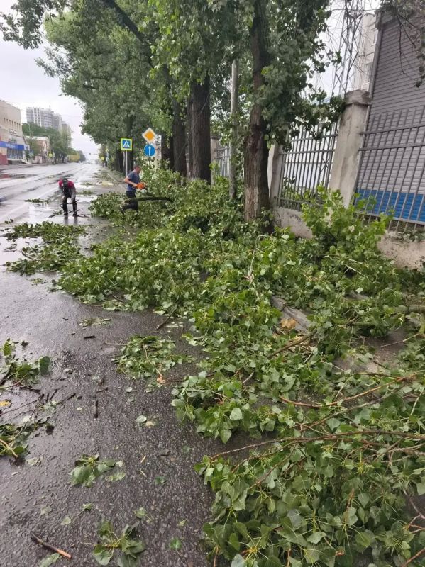 Александр Скрябин: Городские службы продолжают устранять последствия вчерашней непогоды в Ростове Александр Скрябин: Городские службы продолжают устранять последствия вчерашней непогоды в Ростове