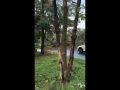 Ураган в Ростове-на-Дону парализовал движение поездов