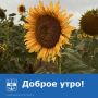 С добрым утром и началом новой рабочей недели!