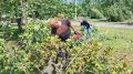 Сегодня мы вышли не на рядовой субботник, а на работы по восстановлению города после ущерба, нанесённого стихией