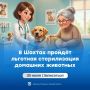 В Шахтах 30 июля пройдёт льготная стерилизация домашних животных
