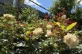 30 июля в Ростовской области обещают до +26 °C
