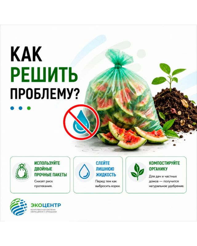 Арбузные корки могут стать причиной неприятного запаха: жителям Дона напомнили, как правильно утилизировать бахчевые Арбузные корки могут стать причиной неприятного запаха: жителям Дона напомнили, как правильно утилизировать бахчевые