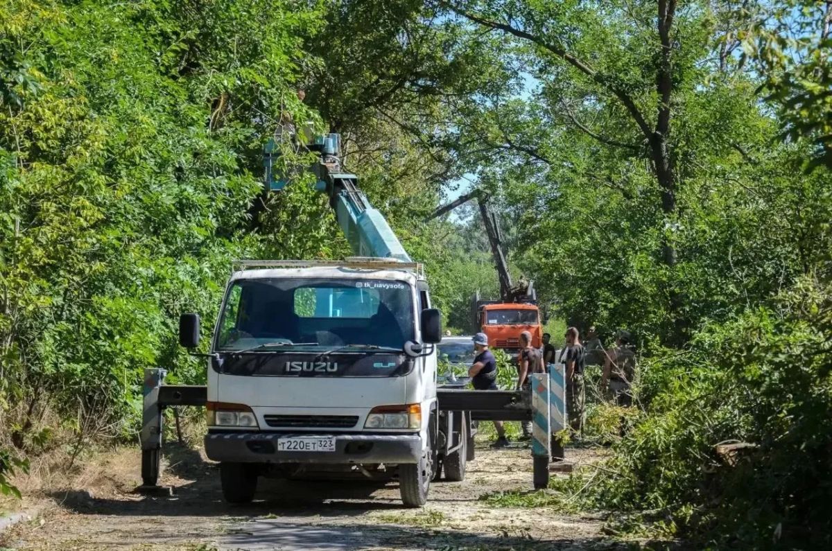 550 поваленных деревьев убрали в Ростове