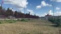 В Александровском парке убрали поросль на городском субботнике
