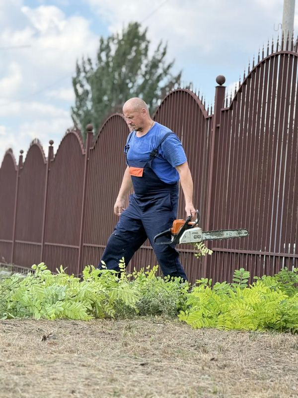 В Александровском парке убрали поросль на городском субботнике В Александровском парке убрали поросль на городском субботнике