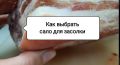 Как выбрать идеальное сало для засолки: секреты домашних гурманов