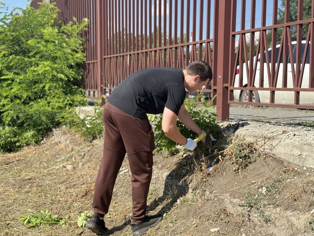 В Александровском парке убрали поросль на городском субботнике В Александровском парке убрали поросль на городском субботнике