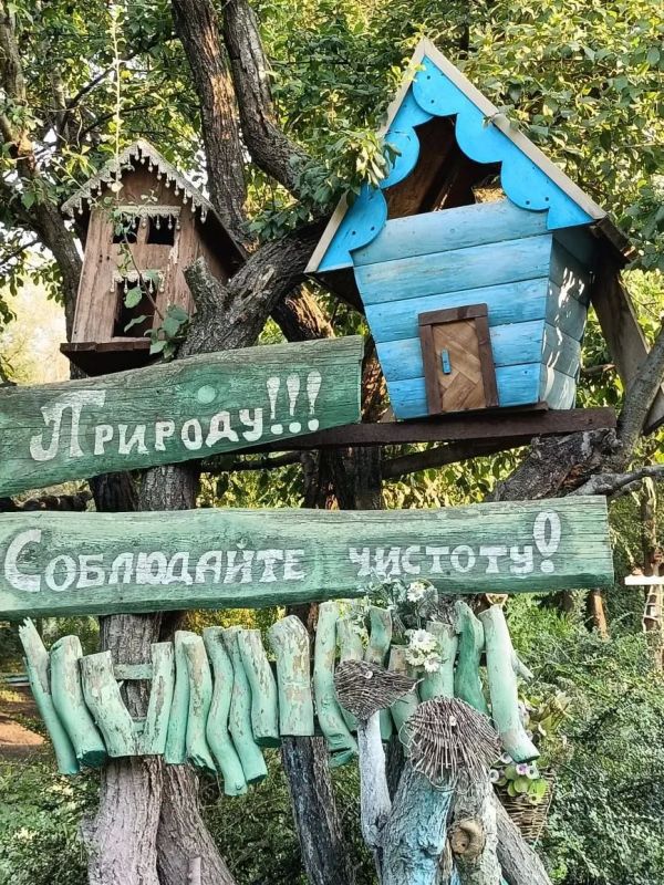 Пенсионерка обустроила на дне старого пруда чудо-парк и предлагает организовать в нем фестиваль балалаечников Пенсионерка обустроила на дне старого пруда чудо-парк и предлагает организовать в нем фестиваль балалаечников