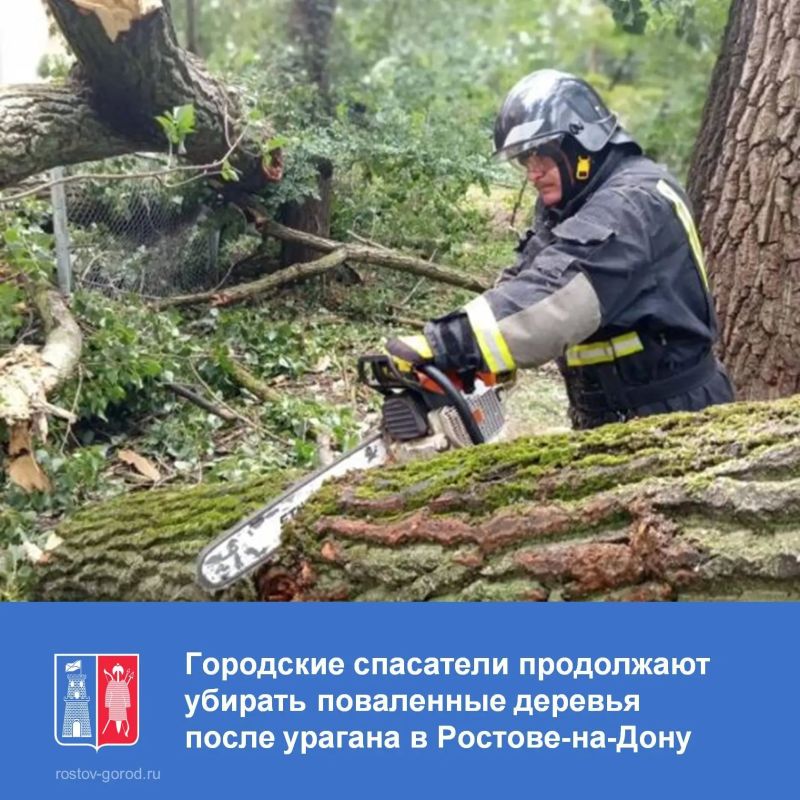 За минувшие 3 дня спасатели осуществили 88 выездов на распил упавших деревьев и веток