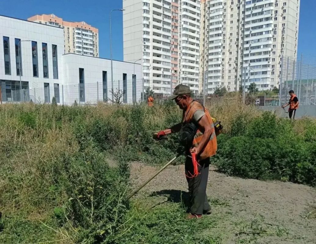 Александр Скрябин: В Ростове продолжается покос сорной растительности Александр Скрябин: В Ростове продолжается покос сорной растительности