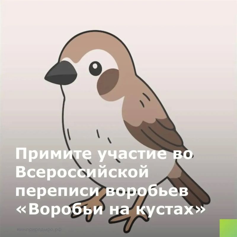 Примите участие во всероссийской переписи в регионах России с 8 по 16 августа!