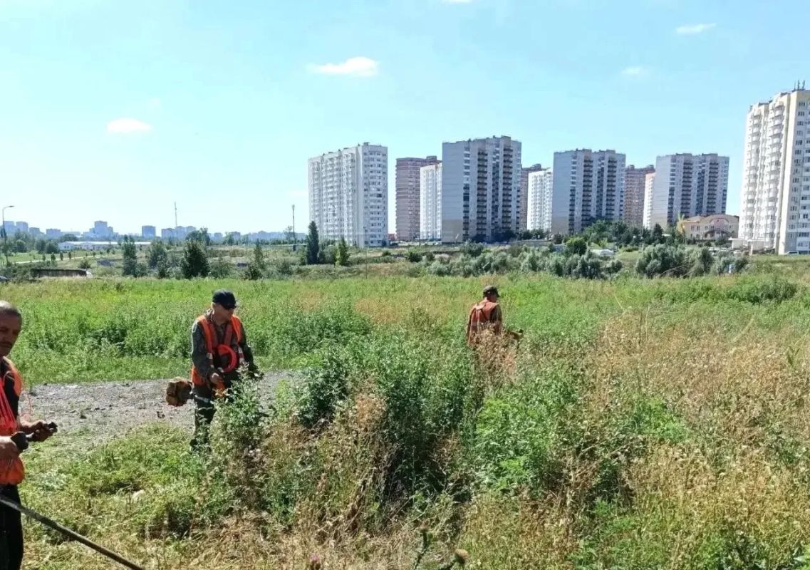 Александр Скрябин: В Ростове продолжается покос сорной растительности
