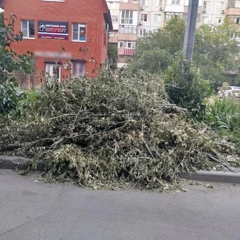 Больше недели коммунальщики не могут навести порядок после лютейшего шторма в Ростовской области