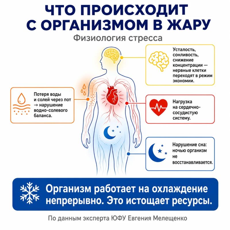 Почему ростовская жара тяжело переносится? Почему ростовская жара тяжело переносится?