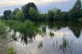 В водоемах Дона не нашли опасных инфекций