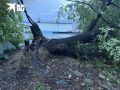 В Ростовской области 8 августа пройдет общеобластной субботник по ликвидации последствий «шторма века»