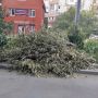 Больше недели коммунальщики не могут навести порядок после лютейшего шторма в Ростовской области