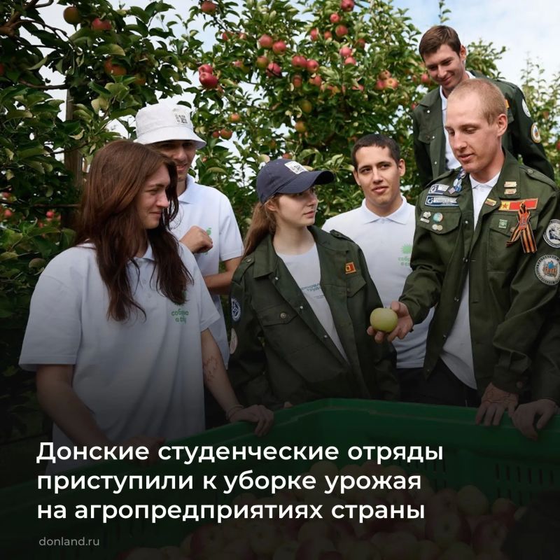 Этой весной и летом студенты вузов и колледжей Дона бесплатно освоили рабочие профессии в рамках программы профессионального обучения