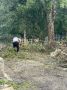 В Новочеркасске продолжается ликвидация последствий непогоды