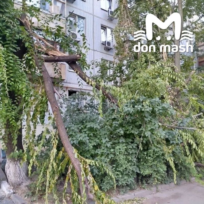 Больше недели коммунальщики не могут навести порядок после лютейшего шторма в Ростовской области Больше недели коммунальщики не могут навести порядок после лютейшего шторма в Ростовской области